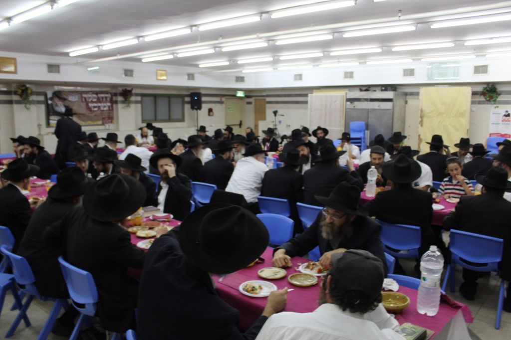 IMG_8105 (Large)